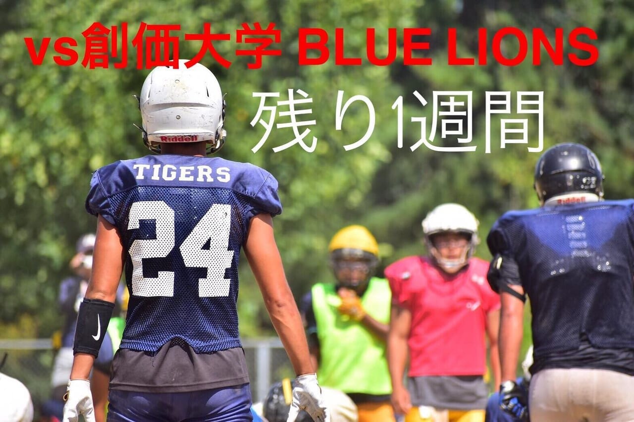 第1節 9/29(日) 14:00KO
vs 創価大学 BLUE LIONS
@大東文化大学東松山グラウンド