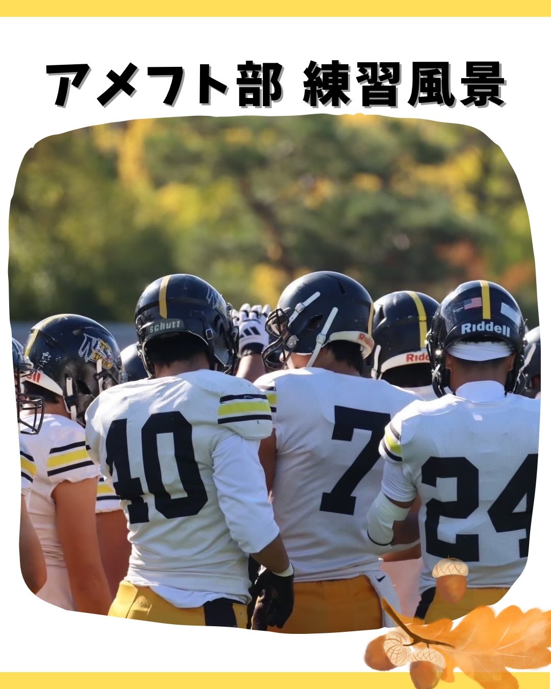 【アメフト部⠀練習風景🏋🏻‍♀️】

＜秋編＞

アメフト部の秋の練習風景をお届けします🏻‍♀️
勉強の合間にご覧ください！

9月からはリーグ戦が始まり、試合形式の練習が多くなってきます
寒さに負けず『一戦必勝』に向けて全力で活動に取り組んでいます！

試合の時は、バスで関東まで遠征します
実は試合だけでなく、このバス移動もすごく楽しいんです

公式アカウント️@niigata.tigers
新歓アカウント️@tigers_recruit_

#